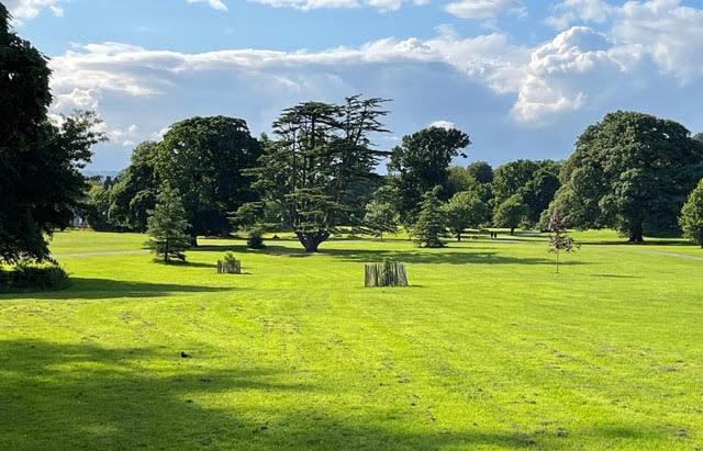 Crotlieve Barn Villa Rostrevor Kültér fotó